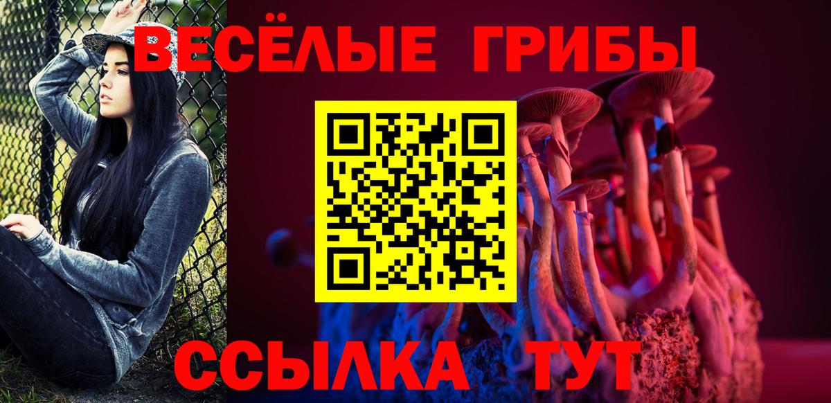 Зеленодольск  Псилоцибиновые грибы прущие грибы  Вход с VPN 